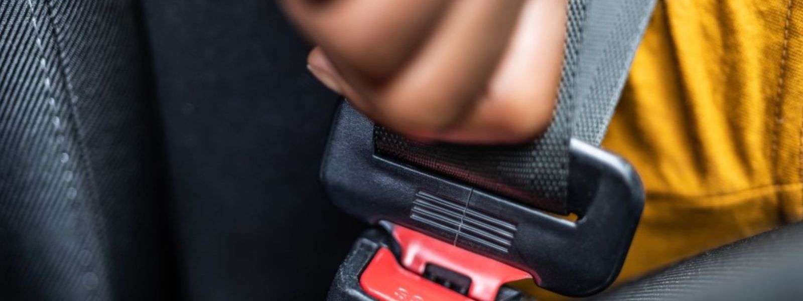 Sri Lanka Enforces Seatbelt Rule for Bus Drivers